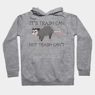 Possum design Hoodie